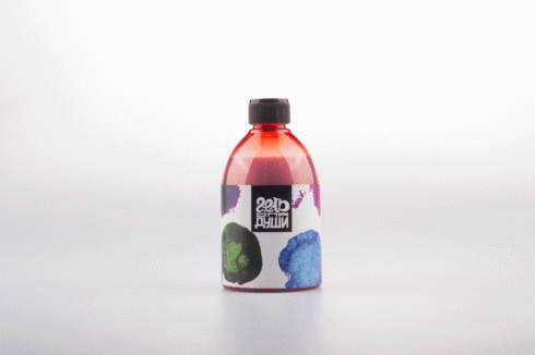 Pryanik kindergarten (1)