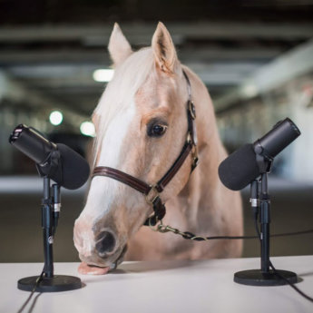 Visit-LEX-ASMR-ad_btw