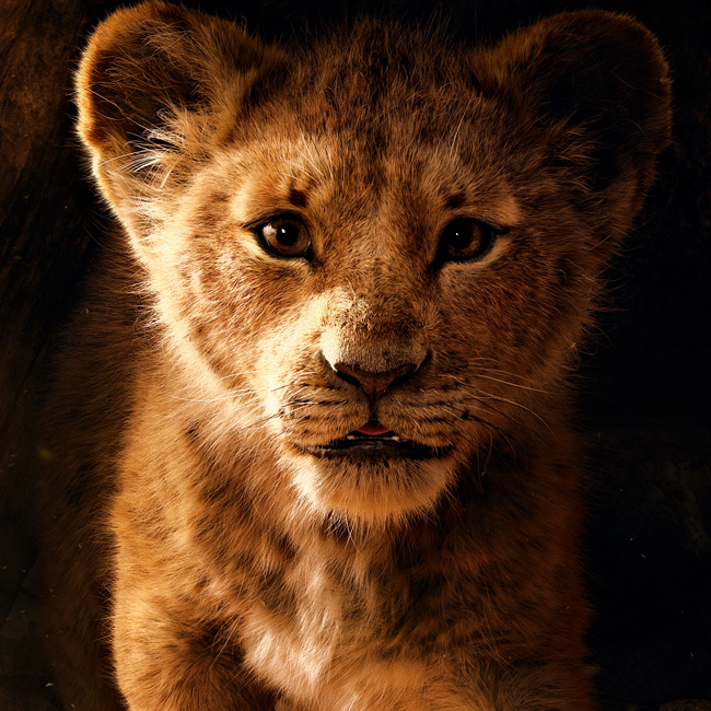 Рекламная кампания, Король Лев, Protect the Pride, Lion Recovery Fund