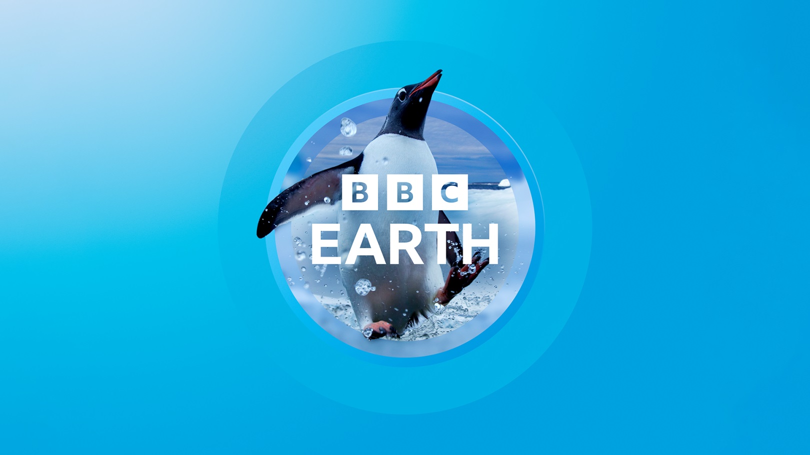 Ребрендинг, Логотип, BBC Studios Creative, BBC Earth