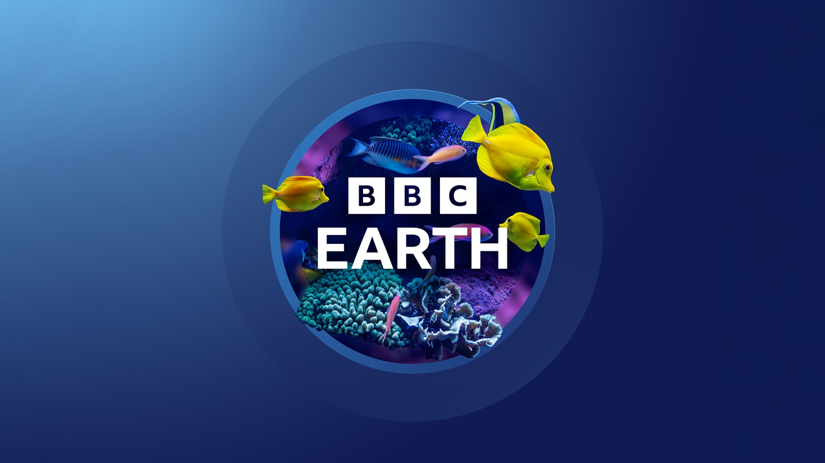 Ребрендинг, Логотип, BBC Studios Creative, BBC Earth
