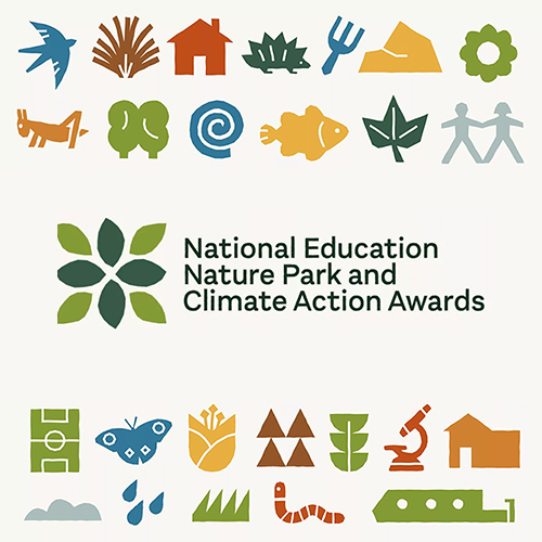 Фирменный стиль, Логотип, Визуальный стиль, Визуальный образ, Брендинг, Айдентика, Out of Place, National Education Nature Park, Climate Action Awards