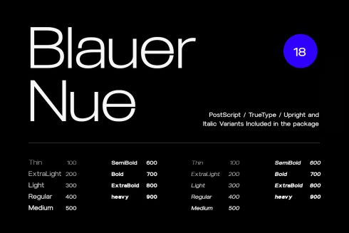 04_blauer-nue-a-premium-sans-serif-font-family_thebtw