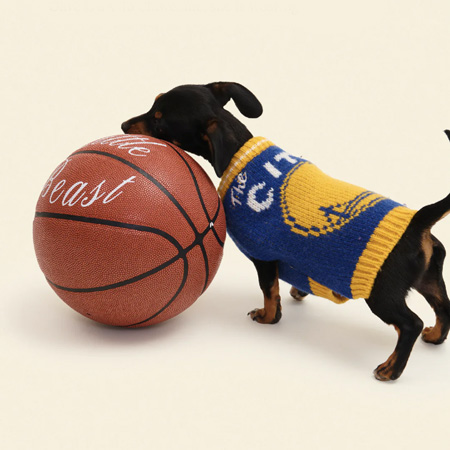 NBA, Little Beast, fashion