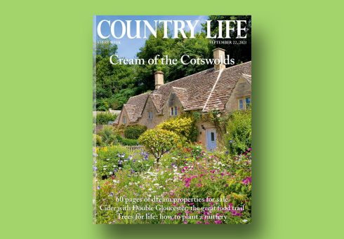 david_beckham_btw-33